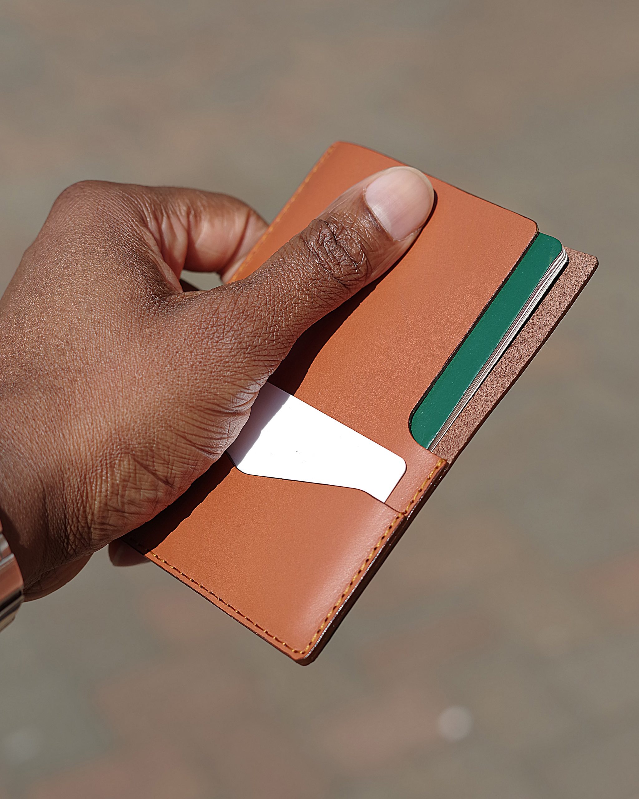 PASSPORT_SLEEVE_FH_03 Frank Horn London